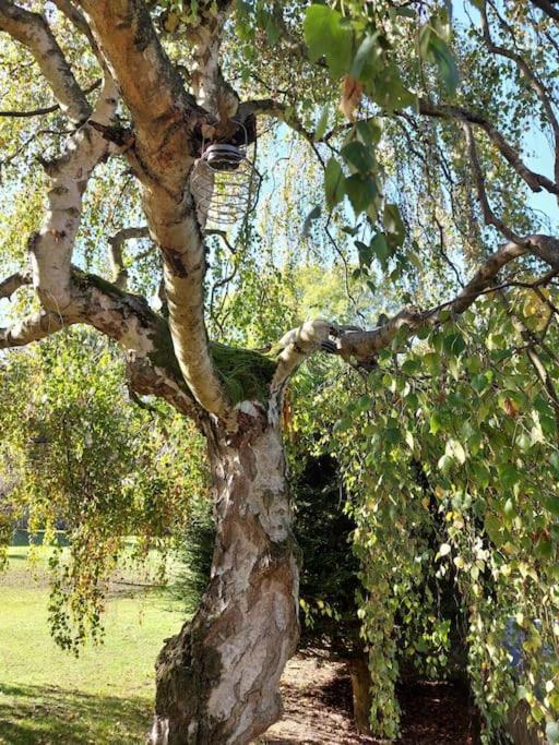 The Squirrels- Alresford, Essex Appartement Buitenkant foto
